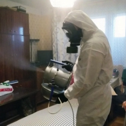 Дезинфекция от клопов в Шувом