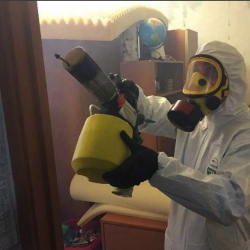 Уничтожение клопов в квартире. Шувое